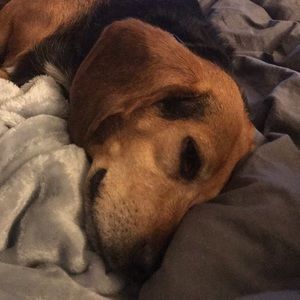 Meet your Posher, Christie